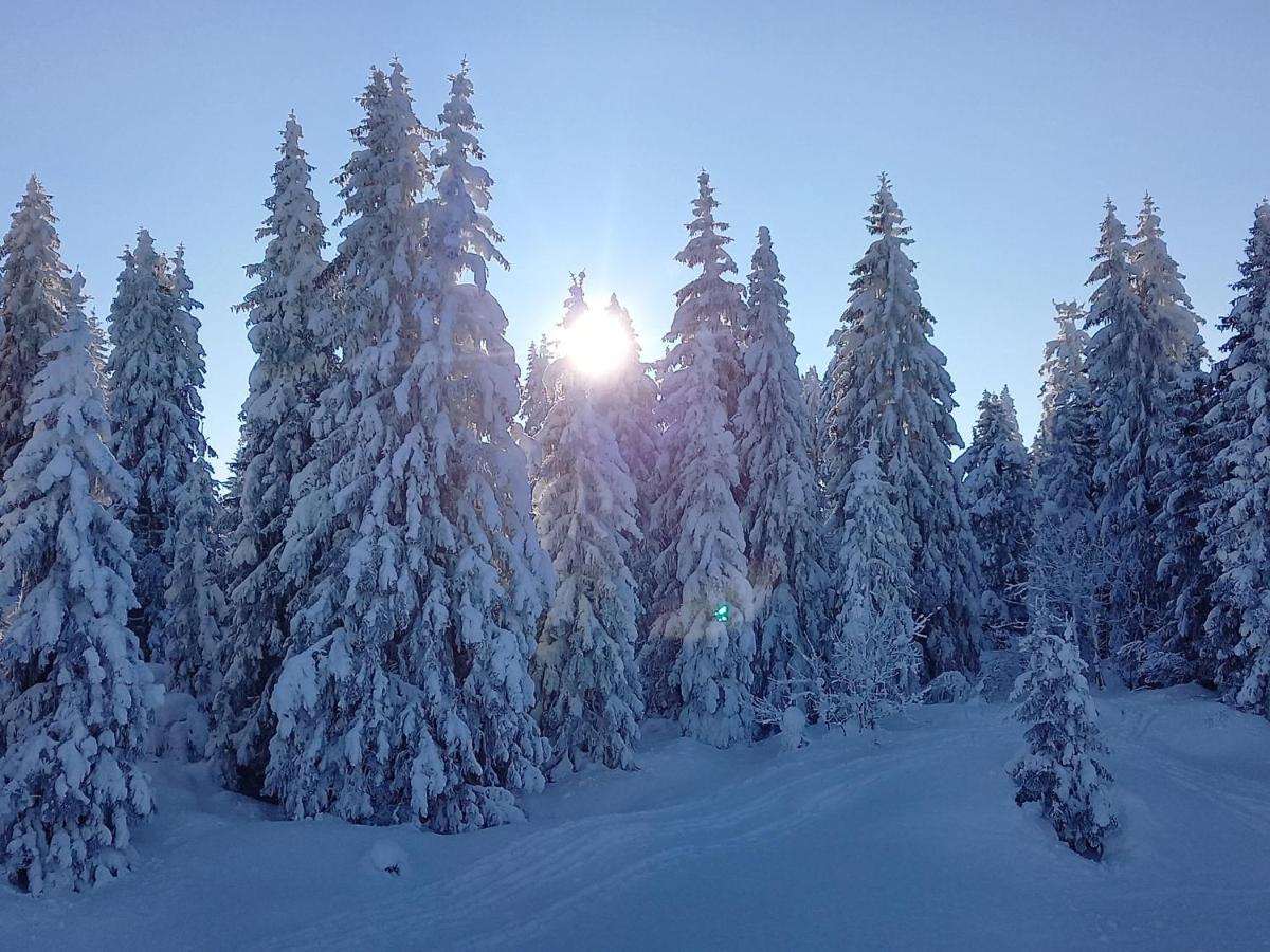 Au Pied Du Pertuiset Lägenhet Drumettaz-Clarafond Exteriör bild